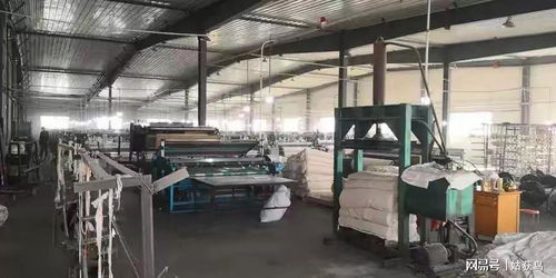 石河子市大型工厂二次流拍 1752.8万元仍无人问津